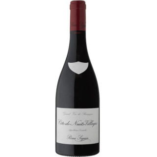 Côtes de Nuits Villages Remi Seguin 2020