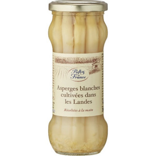 Asperges Blanches Grosses des Landes IGP Reflets de France