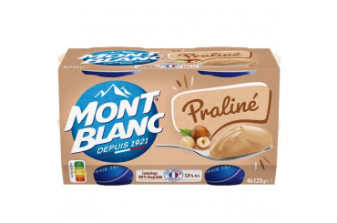 Crème Dessert Praliné Mont Blanc