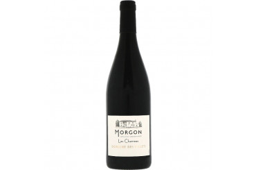 Morgon Domaine des Pillets Les Charmes 2025