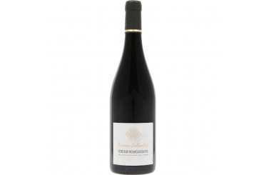 Côteaux Bourguignons Domaine Jouterie-Sallambert 2023