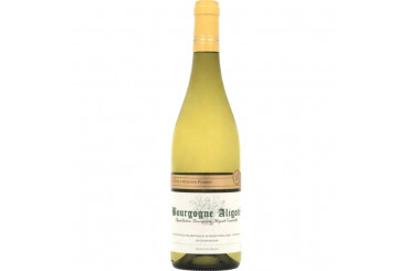 Bourgogne Aligoté Blanc Augustin Florent 2023