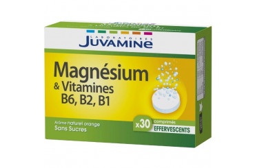 Magnésium et Vitamines Sans Sucres Juvamine