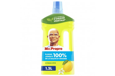 Nettoyant Ménager Multi-Usages Citrons d'Eté Mr Propre 