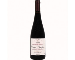 Saumur Champigny Domaine de la Roberdière 2021