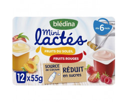 Desserts Lactés Fruits Rouges et Fruits du Soleil Dès 6 Mois Blédina