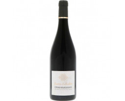 Côteaux Bourguignons Domaine Jouterie-Sallambert 2023