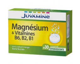 Magnésium et Vitamines Sans Sucres Juvamine