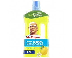 Nettoyant Ménager Multi-Usages Citrons d'Eté Mr Propre 